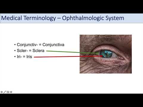 Ophthalmic Medical Assisting: Chapter 9