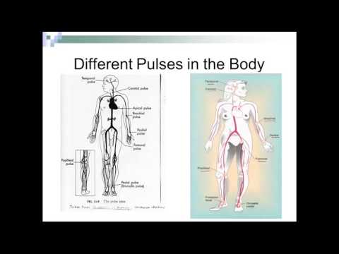 Medical Assistant Vital Signs Quiz