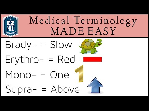 How to Use Medical Assistant Medical Terminology Flash Cards