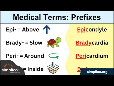 How to Use Medical Assistant Medical Terminology Flash Cards